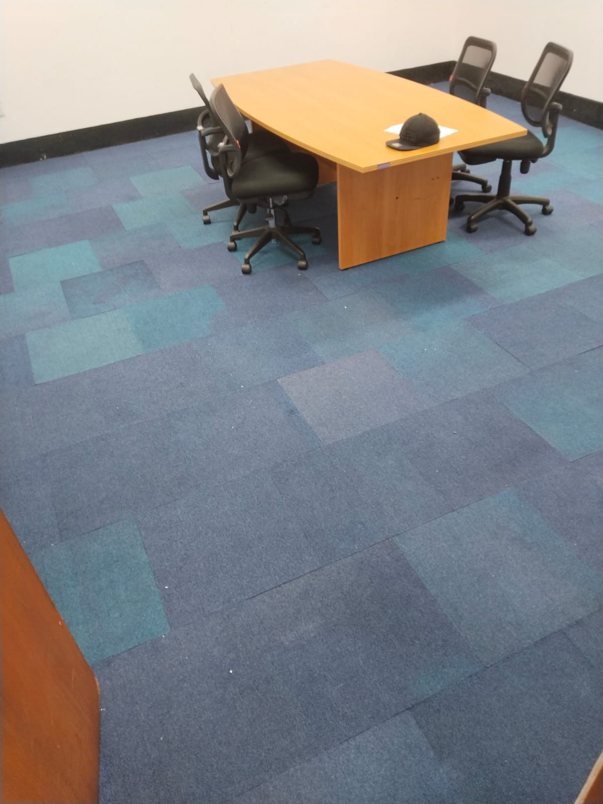 Panduan Lengkap Memilih Karpet Kantor: Estetika, Kenyamanan, dan Investasi Jangka Panjang